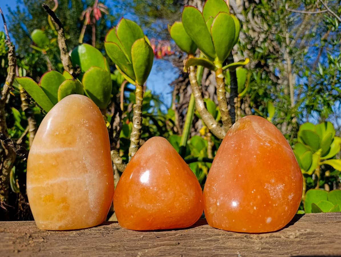 Polished Orange Twist Calcite Standing Free Forms x 3 From Madagascar - Toprock Gemstones and Minerals 