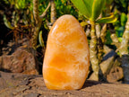 Polished Orange Twist Calcite Standing Free Forms x 3 From Madagascar - Toprock Gemstones and Minerals 