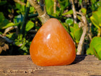Polished Orange Twist Calcite Standing Free Forms x 3 From Madagascar - Toprock Gemstones and Minerals 