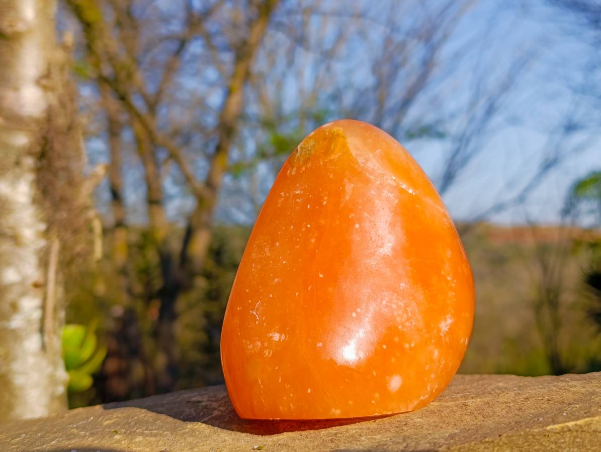 Polished Orange Twist Calcite Standing Free Forms x 3 From Madagascar - Toprock Gemstones and Minerals 