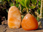 Polished Orange Twist Calcite Standing Free Forms x 3 From Madagascar - Toprock Gemstones and Minerals 