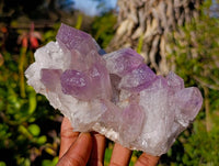 Natural Jacaranda Amethyst Clusters x 2 From Zambia