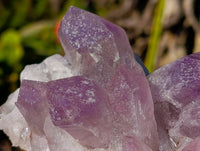 Natural Jacaranda Amethyst Clusters x 2 From Zambia