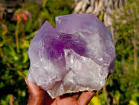 Natural Jacaranda Amethyst Clusters x 2 From Zambia