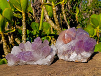 Natural Jacaranda Amethyst Clusters x 2 From Zambia