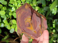 Natural Selected Nguni Jasper Cobbed Specimens x 12 From Prieska, South Africa