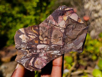 Natural Selected Nguni Jasper Cobbed Specimens x 12 From Prieska, South Africa
