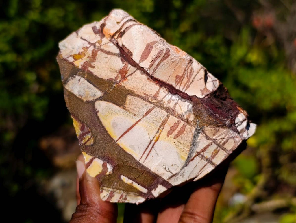 Natural Selected Nguni Jasper Cobbed Specimens x 12 From Prieska, South Africa - Toprock Gemstones and Minerals 