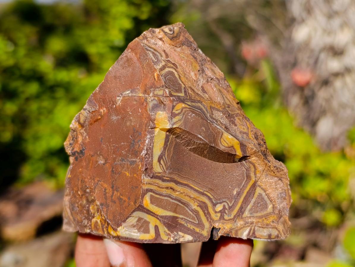 Natural Selected Nguni Jasper Cobbed Specimens x 12 From Prieska, South Africa - Toprock Gemstones and Minerals 