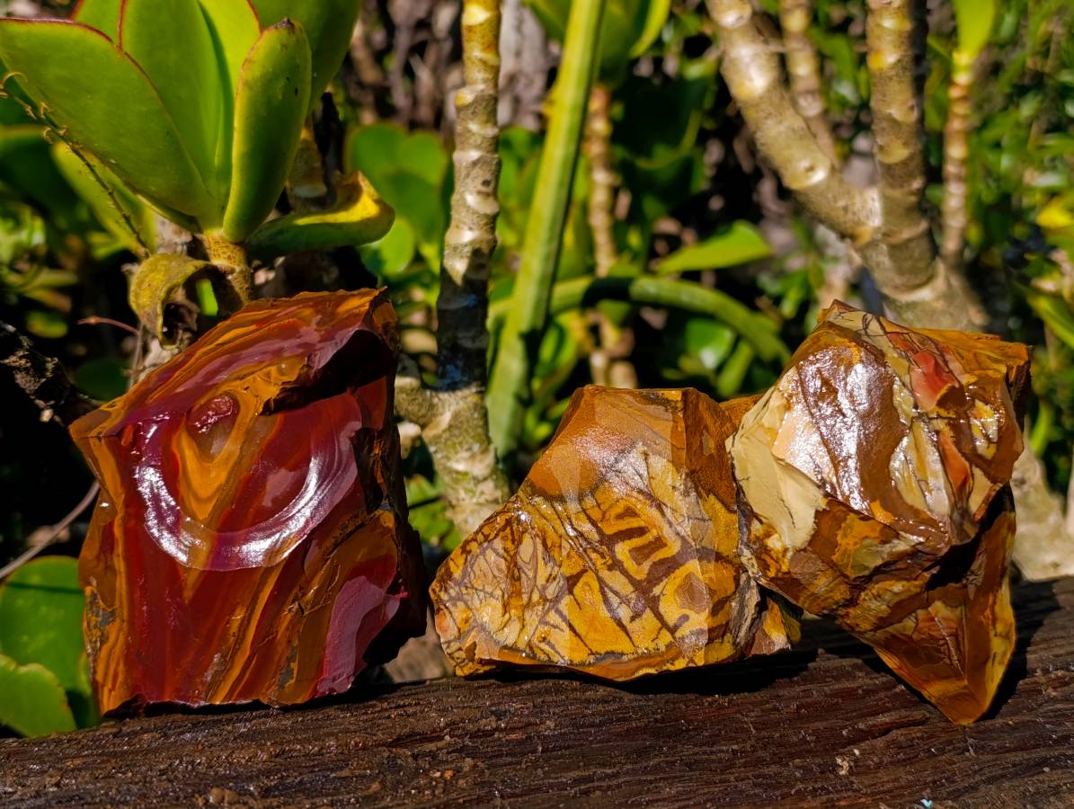 Natural Selected Nguni Jasper Cobbed Specimens x 12 From Prieska, South Africa - Toprock Gemstones and Minerals 