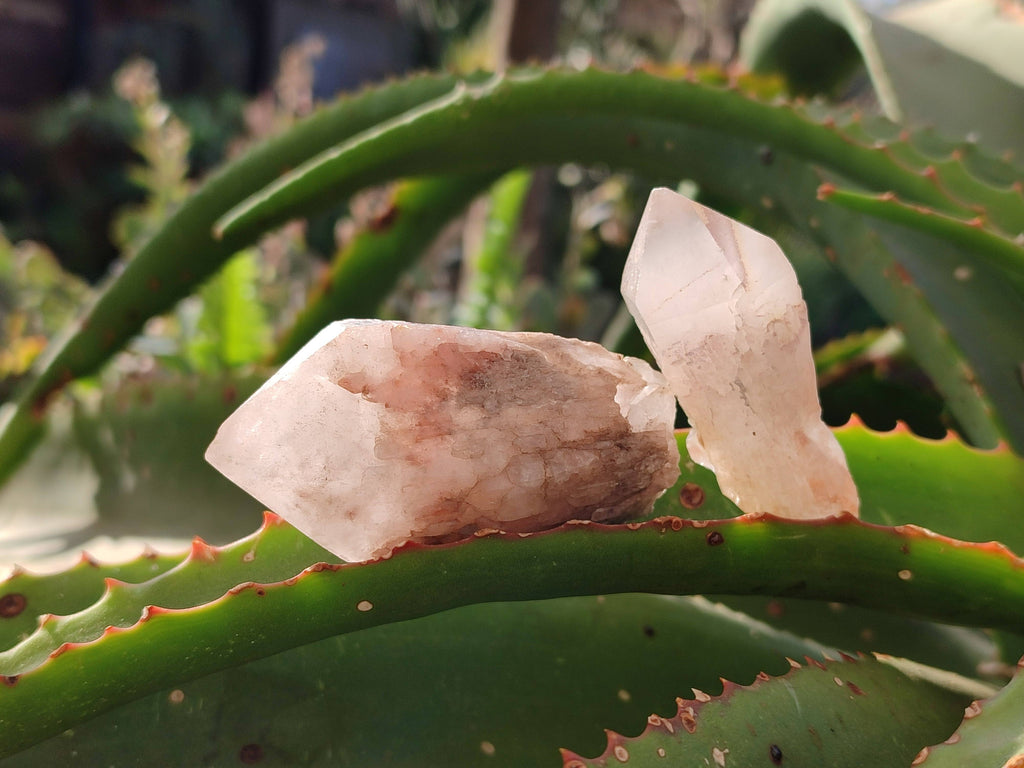 Natural Quartz Crystals x 20 From Madagascar - Toprock Gemstones and Minerals 