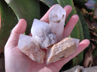 Natural Quartz Crystals x 20 From Madagascar