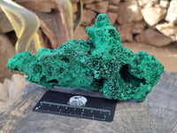 Natural Silky Malachite Specimens x 2 From Kasompe, Congo
