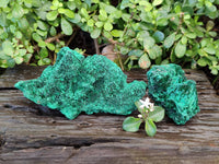 Natural Silky Malachite Specimens x 2 From Kasompe, Congo