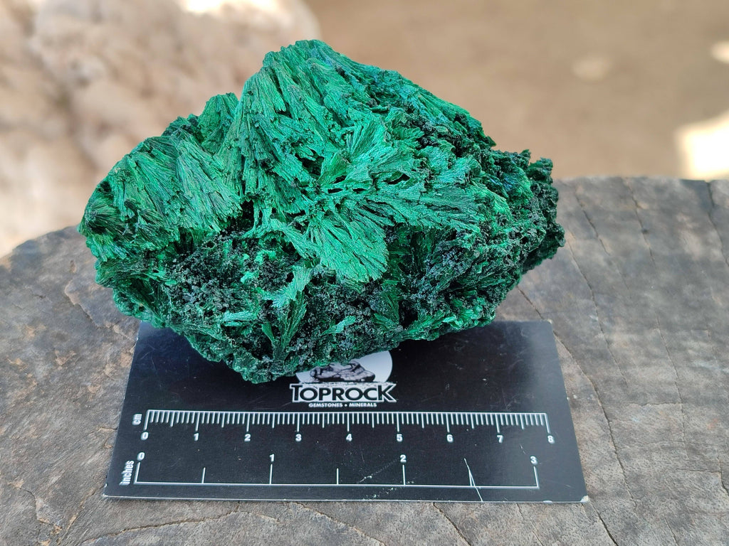 Natural Silky Malachite Specimens x 2 From Kasompe, Congo - Toprock Gemstones and Minerals 
