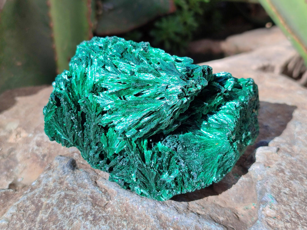 Natural Silky Malachite Specimens x 2 From Kasompe, Congo - Toprock Gemstones and Minerals 