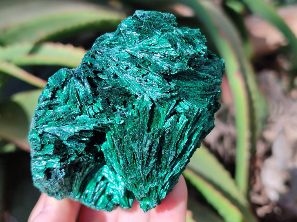 Natural Silky Malachite Specimens x 2 From Kasompe, Congo - Toprock Gemstones and Minerals 