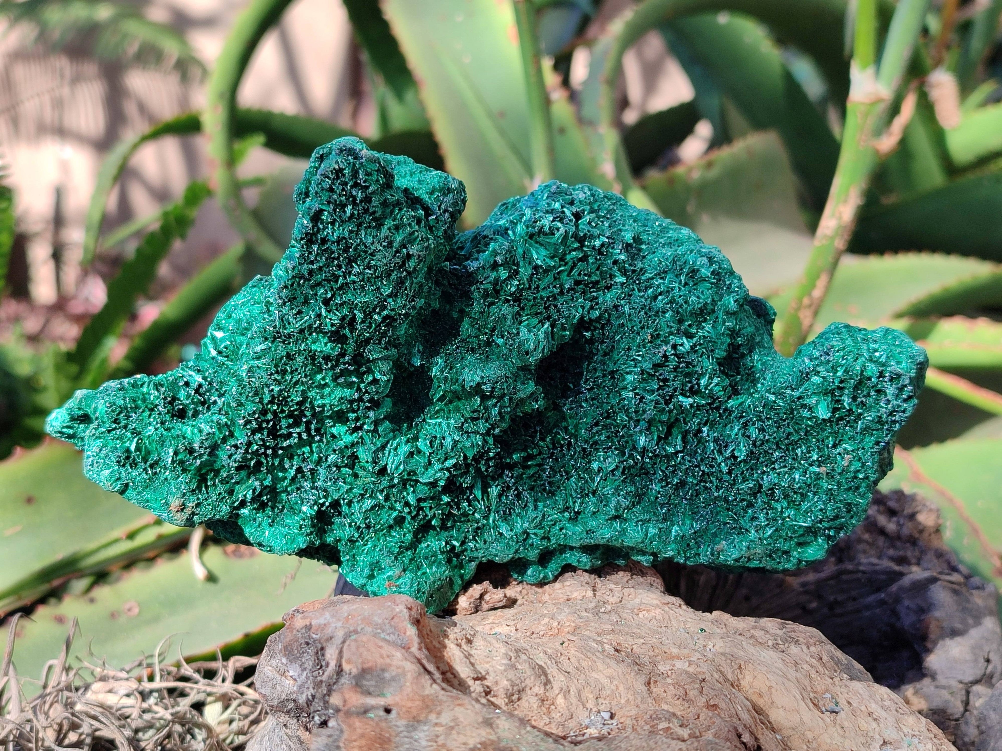 Natural Silky Malachite Specimens x 2 From Kasompe, Congo - Toprock Gemstones and Minerals 
