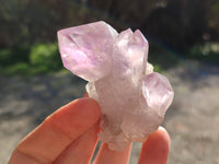 Natural Jacaranda Amethyst Clusters x 12 From Zambia
