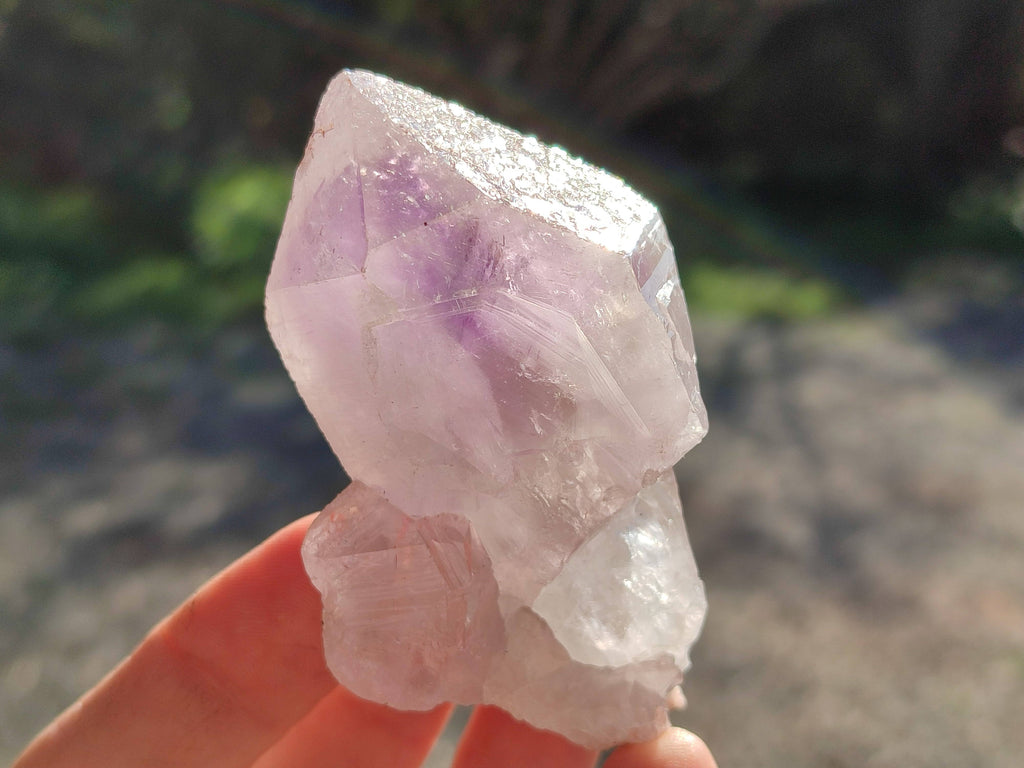 Natural Jacaranda Amethyst Clusters x 12 From Zambia - Toprock Gemstones and Minerals 