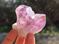 Natural Jacaranda Amethyst Clusters x 12 From Zambia