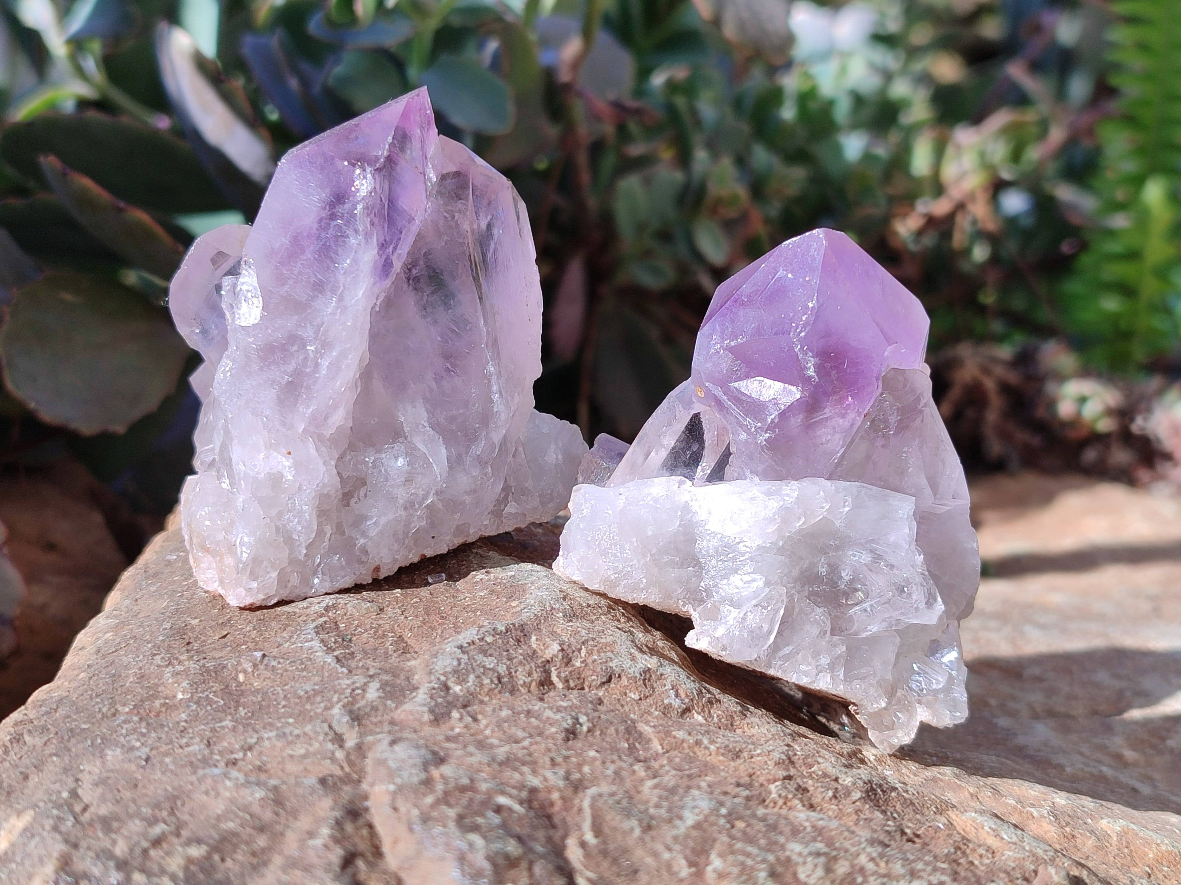 Natural Jacaranda Amethyst Clusters x 12 From Zambia - Toprock Gemstones and Minerals 