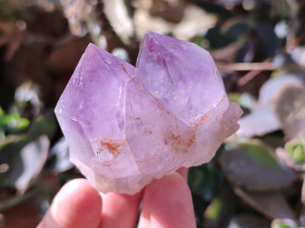 Natural Jacaranda Amethyst Clusters x 12 From Zambia