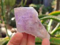 Natural Jacaranda Amethyst Clusters x 12 From Zambia