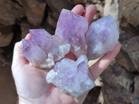 Natural Jacaranda Amethyst Clusters x 12 From Zambia