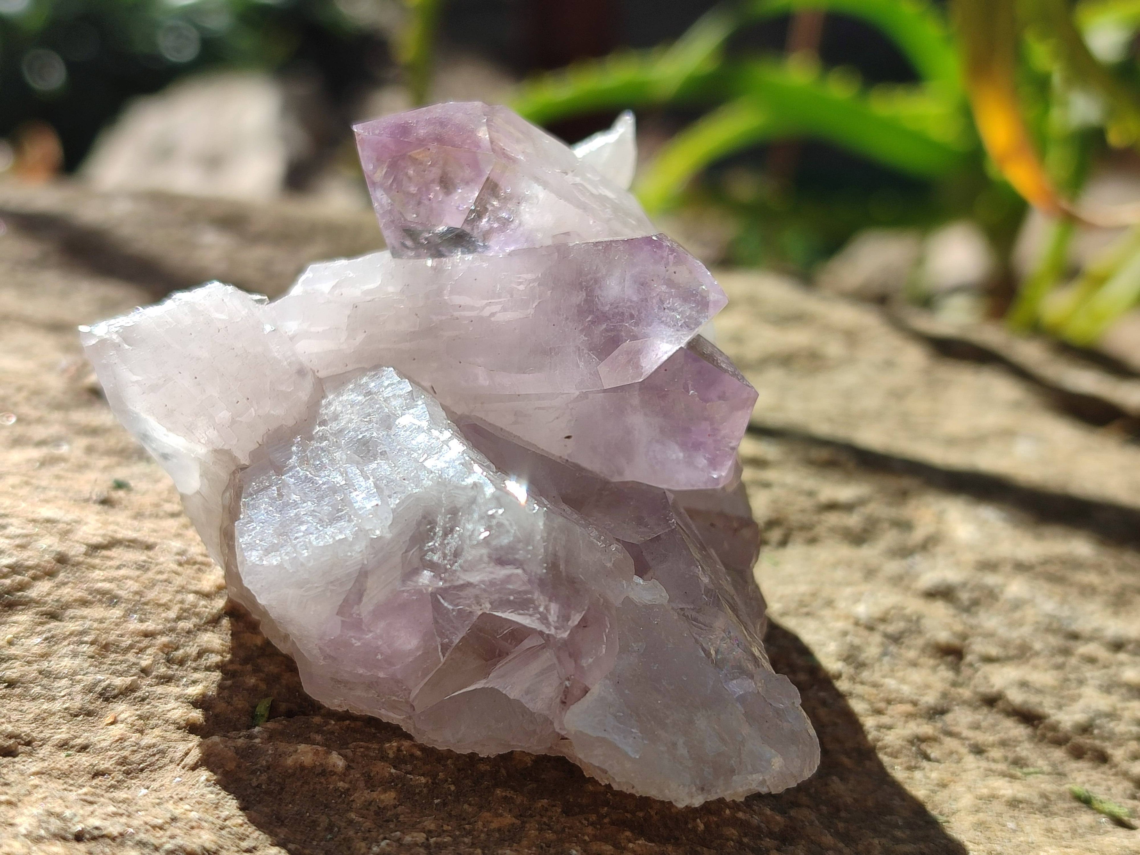 Natural Jacaranda Amethyst Clusters x 12 From Zambia - Toprock Gemstones and Minerals 