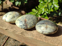Polished Dendritic Opal Palm Stones x 6 From Moralambo, Madagascar - Toprock Gemstones and Minerals 
