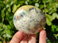 Polished Dendritic Opal Palm Stones x 6 From Moralambo, Madagascar - Toprock Gemstones and Minerals 