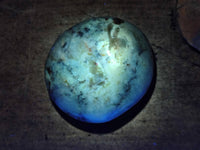 Polished Dendritic Opal Palm Stones x 6 From Moralambo, Madagascar - Toprock Gemstones and Minerals 