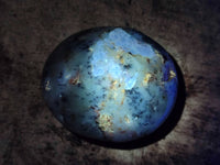 Polished Dendritic Opal Palm Stones x 6 From Moralambo, Madagascar - Toprock Gemstones and Minerals 