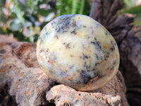Polished Dendritic Opal Palm Stones x 6 From Moralambo, Madagascar - Toprock Gemstones and Minerals 