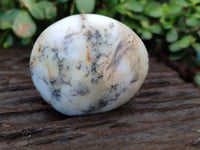 Polished Dendritic Opal Palm Stones x 6 From Moralambo, Madagascar - Toprock Gemstones and Minerals 