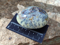 Polished Dendritic Opal Palm Stones x 6 From Moralambo, Madagascar - Toprock Gemstones and Minerals 