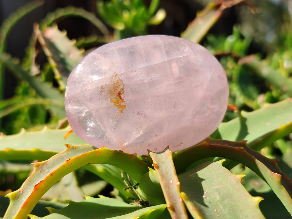 Polished Rose Quartz Palm Stones x 24 From Madagascar - Toprock Gemstones and Minerals 