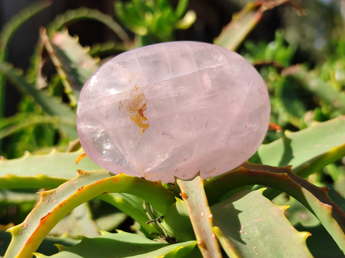 Polished Rose Quartz Palm Stones x 24 From Madagascar - Toprock Gemstones and Minerals 