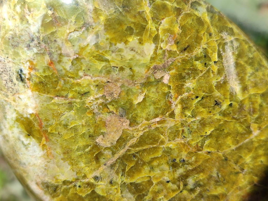 Polished Green Opal Standing Free Form x 1 From Madagascar - Toprock Gemstones and Minerals 