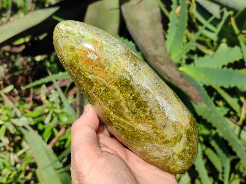 Polished Green Opal Standing Free Form x 1 From Madagascar - Toprock Gemstones and Minerals 