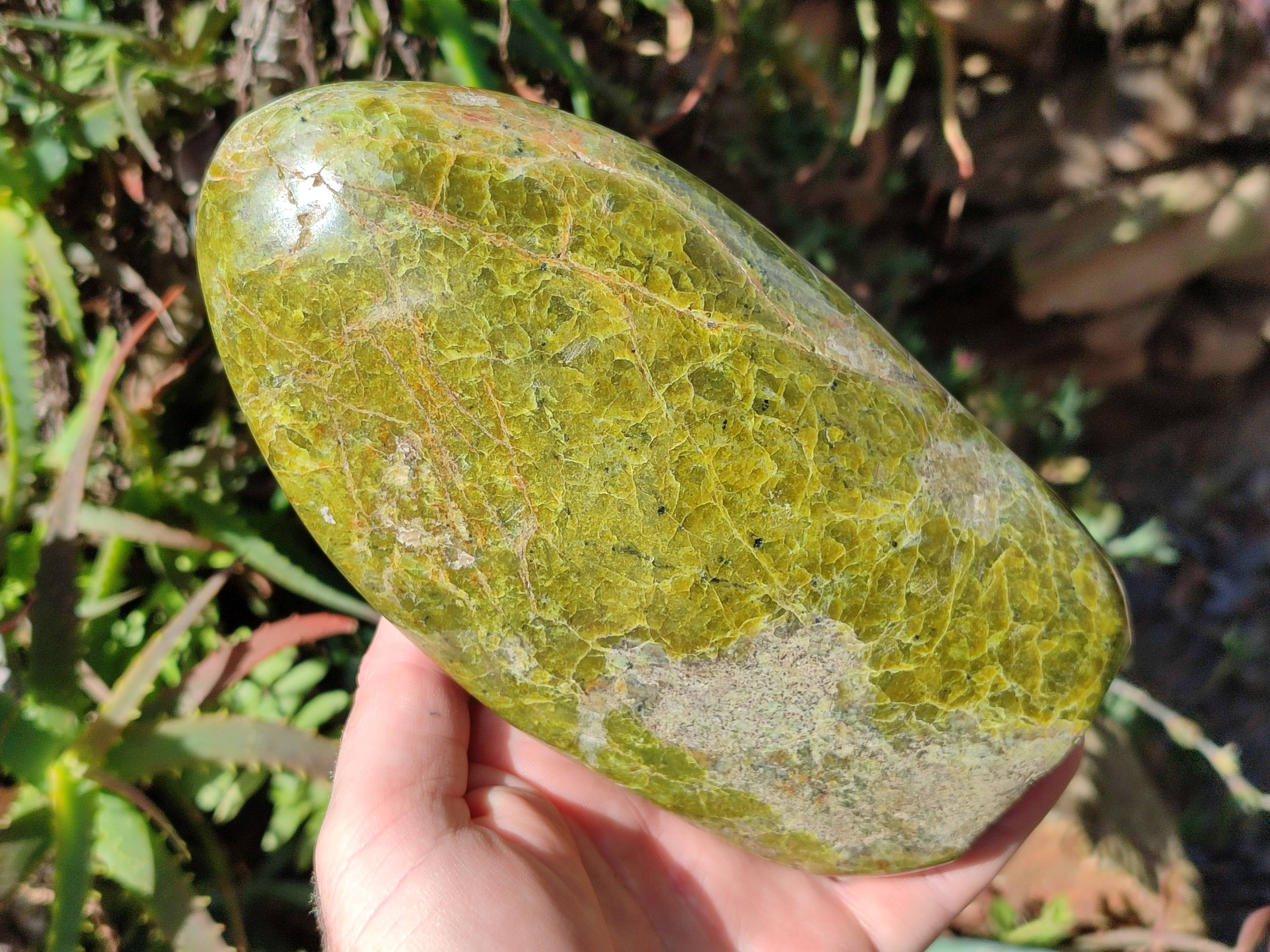 Polished Green Opal Standing Free Form x 1 From Madagascar - Toprock Gemstones and Minerals 