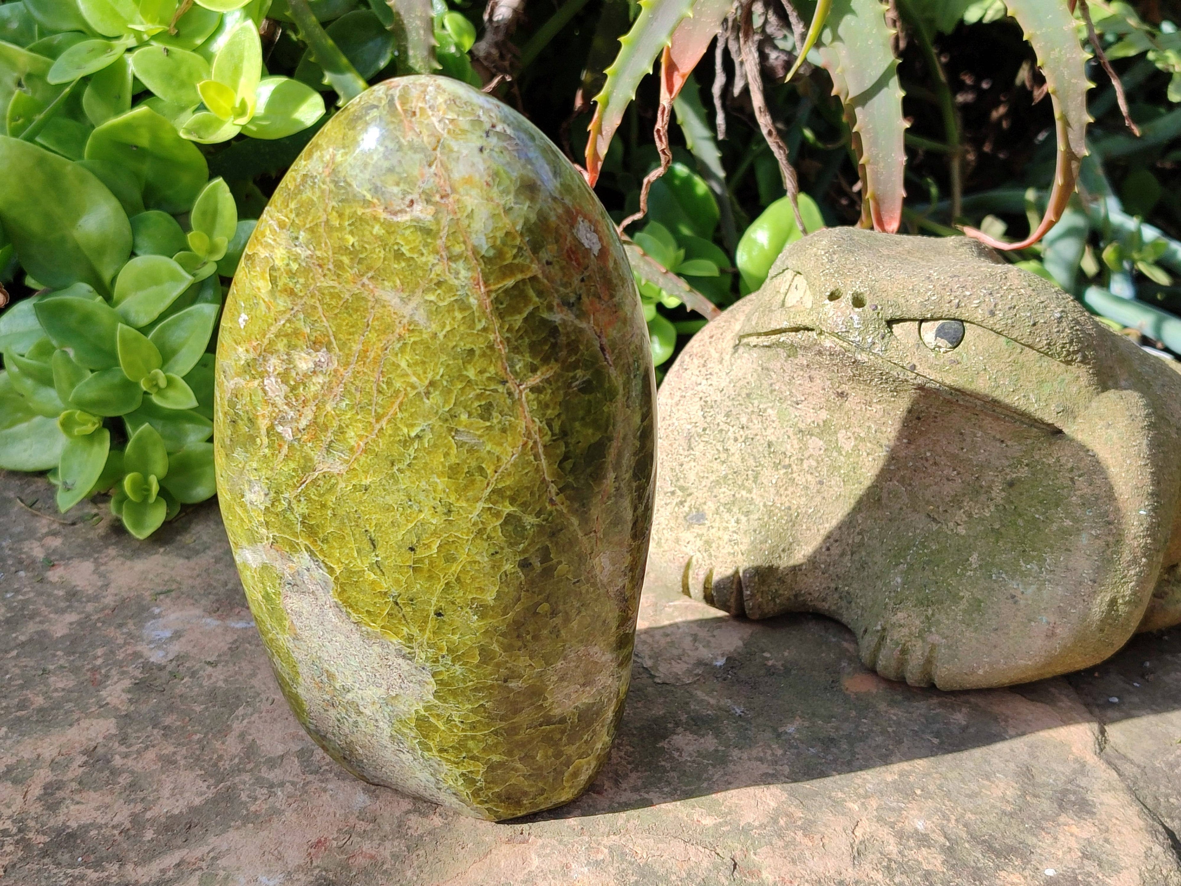 Polished Green Opal Standing Free Form x 1 From Madagascar - Toprock Gemstones and Minerals 