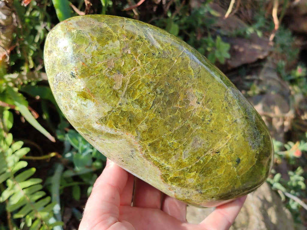 Polished Green Opal Standing Free Form x 1 From Madagascar - Toprock Gemstones and Minerals 