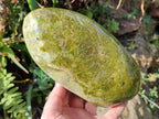 Polished Green Opal Standing Free Form x 1 From Madagascar - Toprock Gemstones and Minerals 