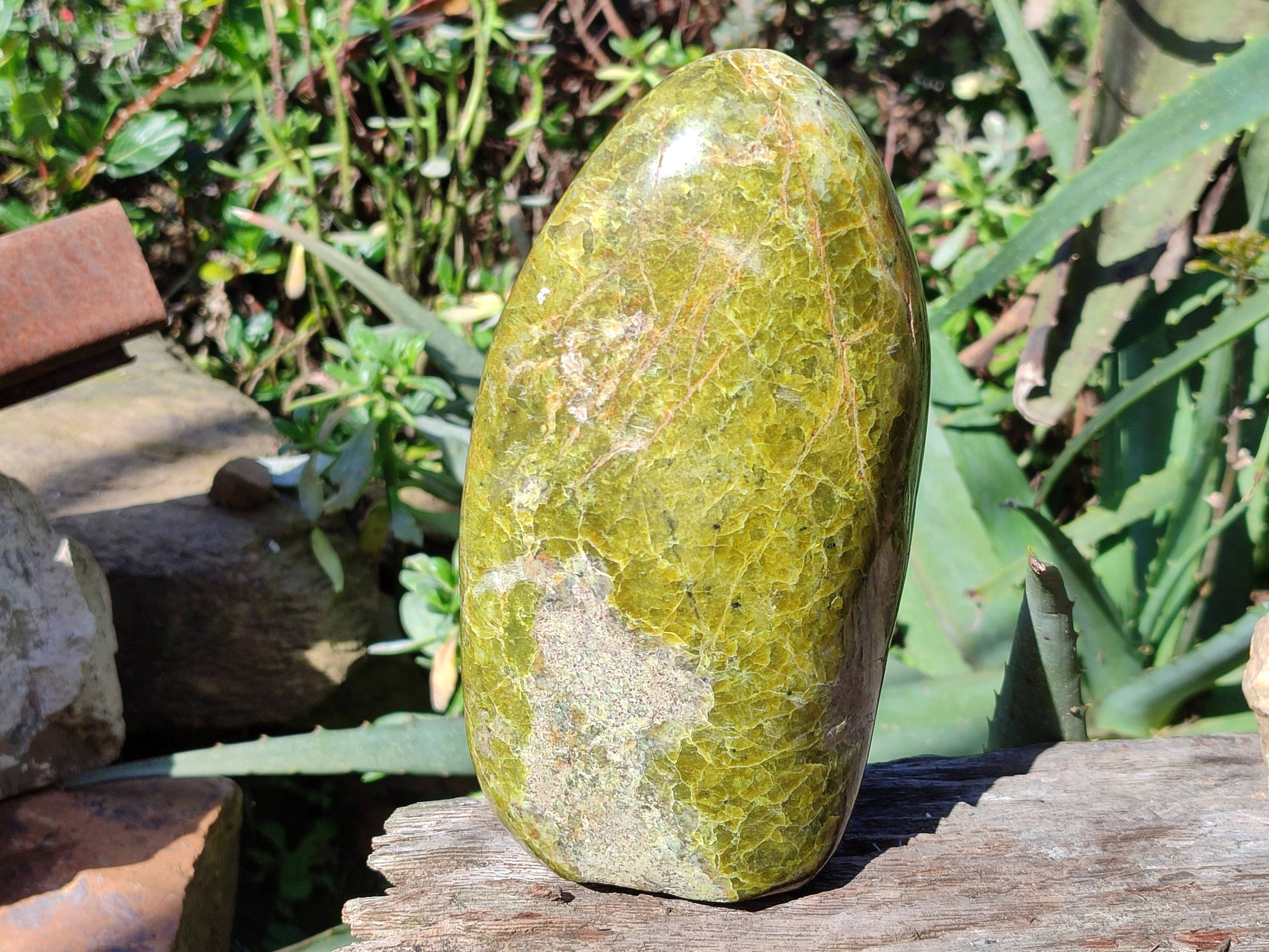 Polished Green Opal Standing Free Form x 1 From Madagascar - Toprock Gemstones and Minerals 