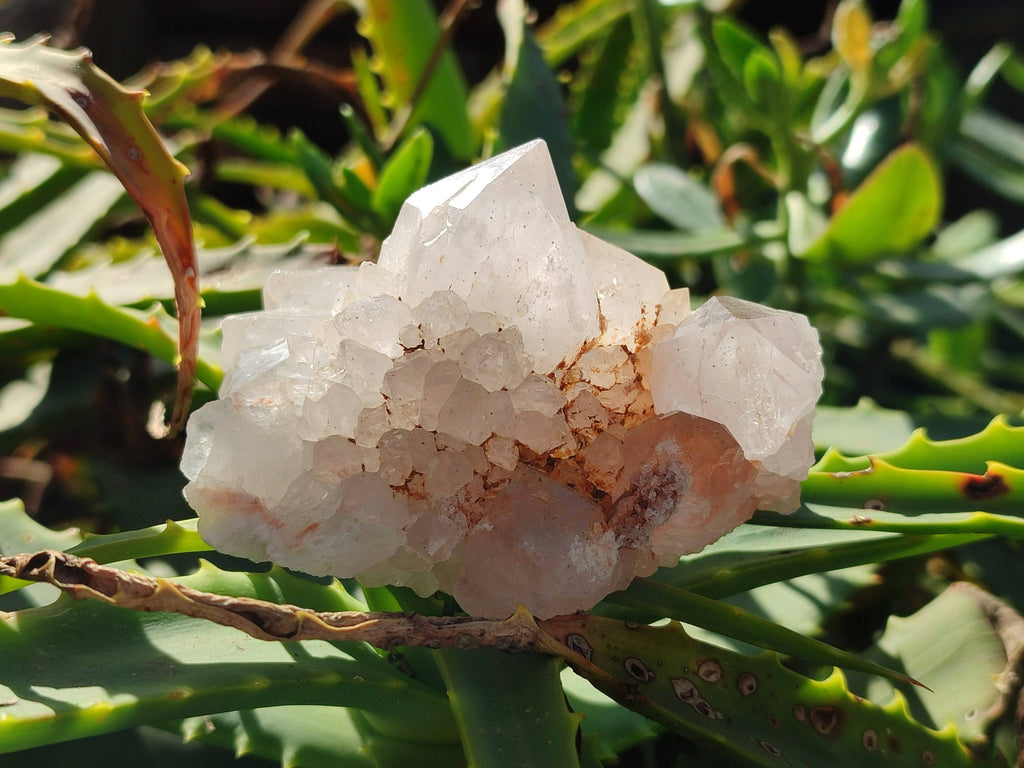 Natural Spirit Quartz Clusters x 4 From South Africa - Toprock Gemstones and Minerals 