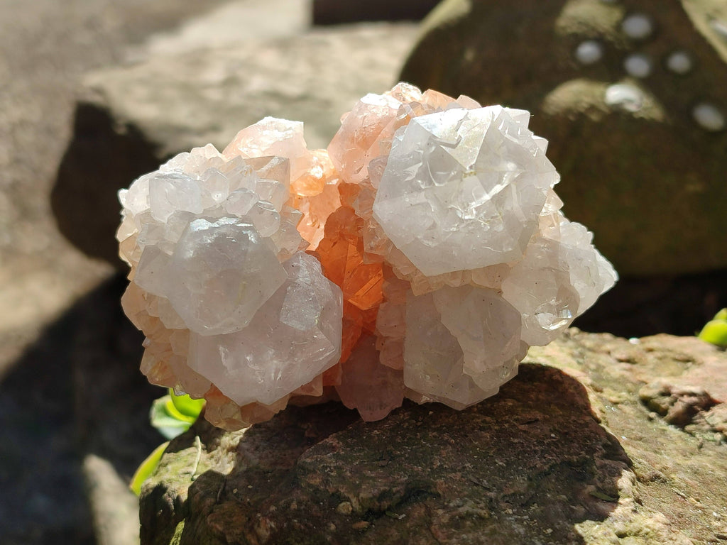 Natural Spirit Quartz Clusters x 4 From South Africa - Toprock Gemstones and Minerals 