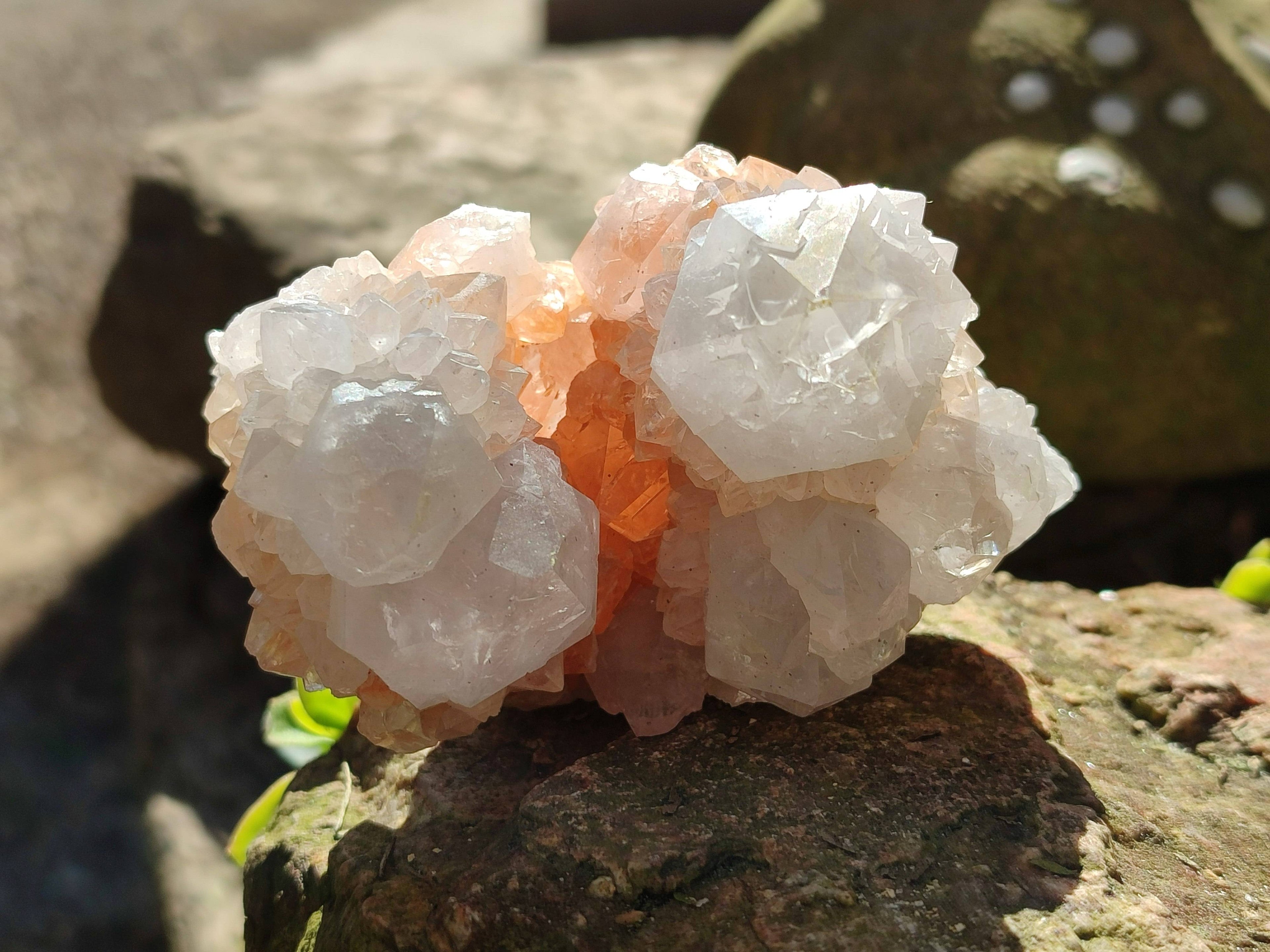 Natural Spirit Quartz Clusters x 4 From South Africa - Toprock Gemstones and Minerals 