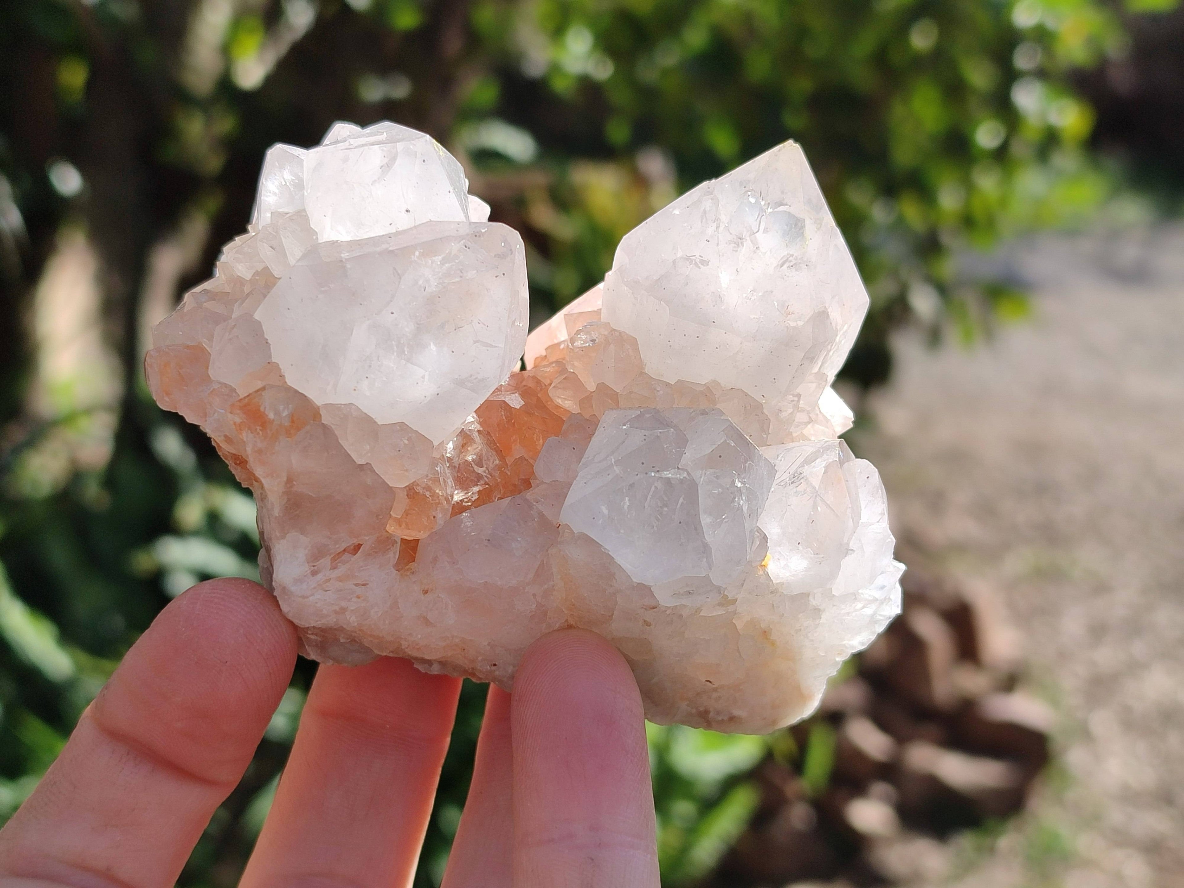 Natural Spirit Quartz Clusters x 4 From South Africa - Toprock Gemstones and Minerals 
